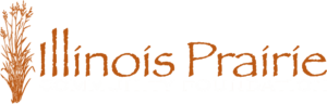 IPCF logo-WhiteCFline