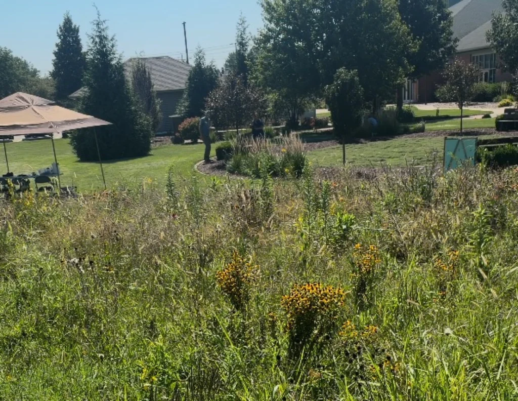 Prairie grasses are shown in the foreground, with trees in background.